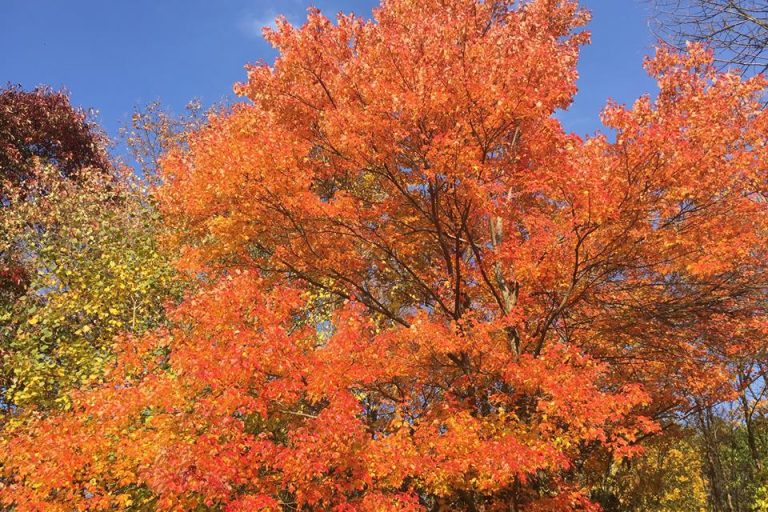 14695425_10201865424474657_6728174119913026353_n