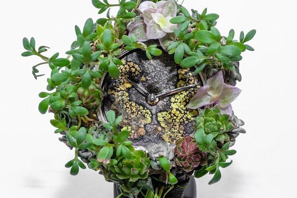 H Moser & CIe Nature WAtch