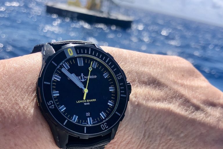 Ulysse Nardin Diver Lemon Shark Ulysse Nardin Diver Lemon Shark
