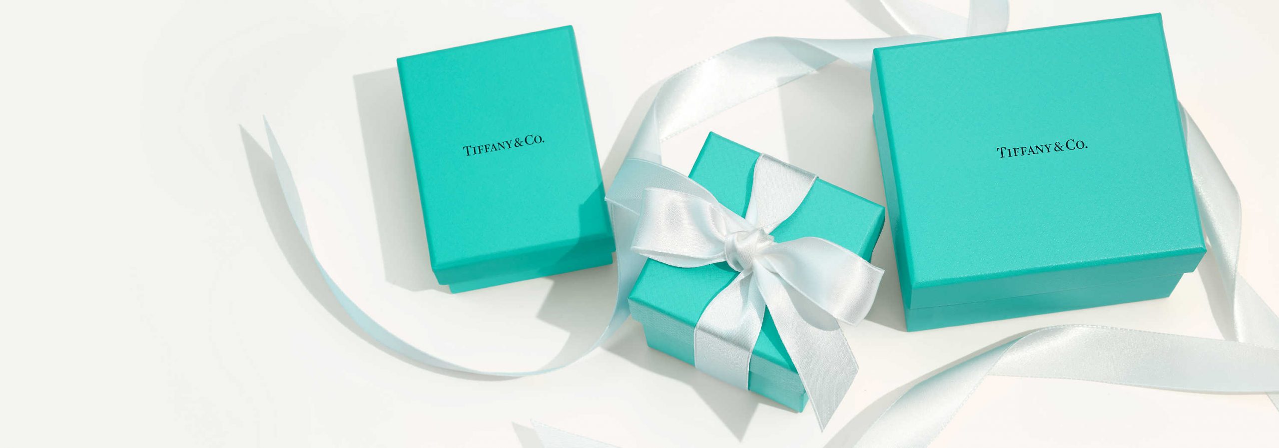 Tiffany & Co., LVMH Group