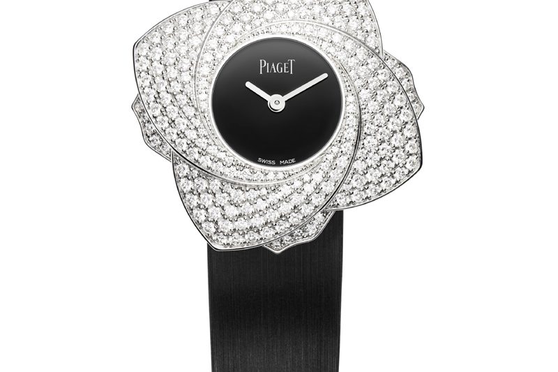 piaget-limelight-bloomingrose
