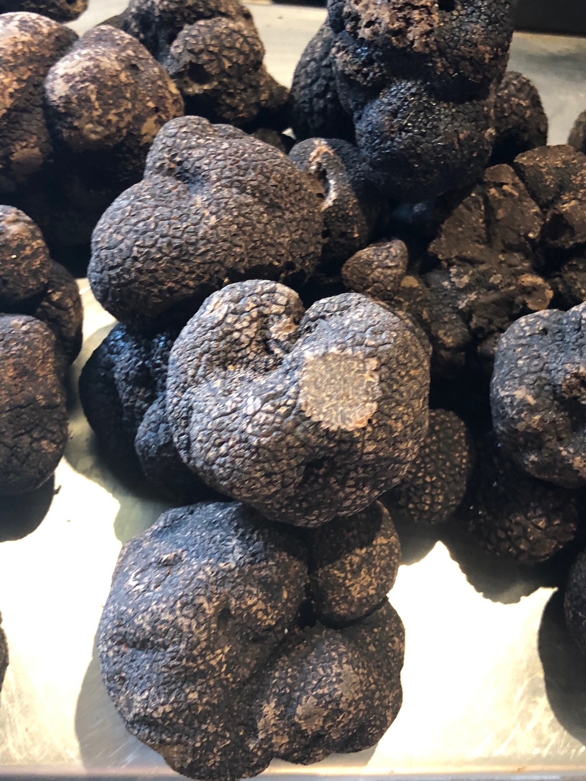 black truffles 