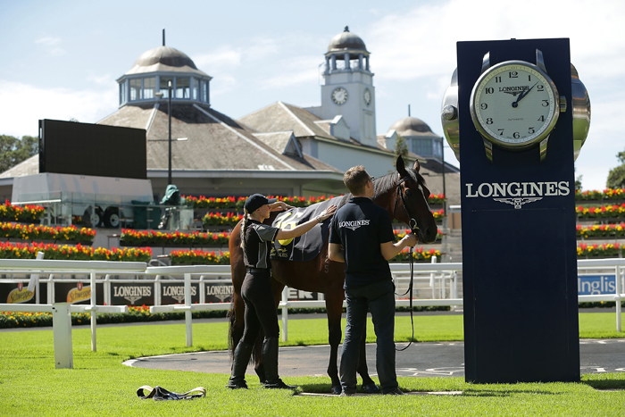 Longines Positioning System transceiver is attached to the saddle cloth 