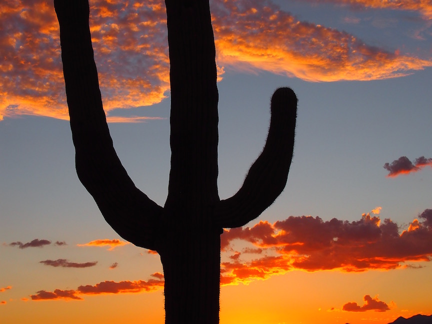 Sunset in the Sonoran desert (photo: R. Naas