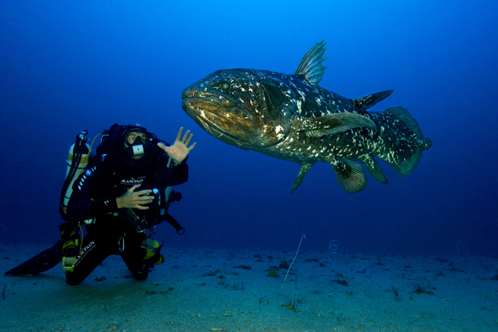 Blancpain supports the efforts of Laurent Ballesta, seeker of sea creatures. 